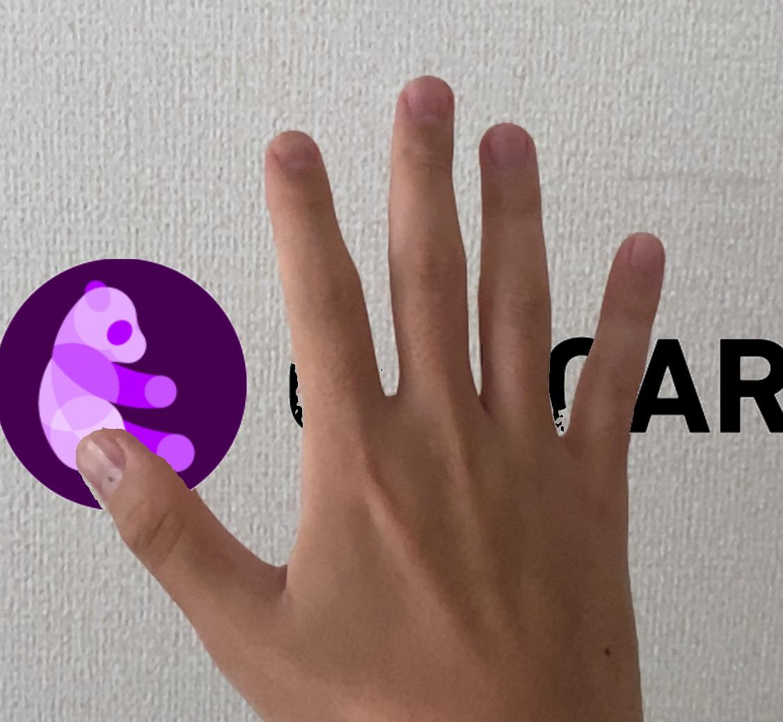 oclusion_image.png